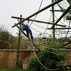 Equinox Appointed Working at Height Contractor at Edinburgh Zoo
