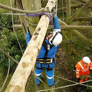 Equinox Appointed Working at Height Contractor at Edinburgh Zoo