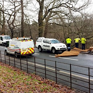 Equinox Carries out Stabilisation Works at Crossford, South Lanarkshire.