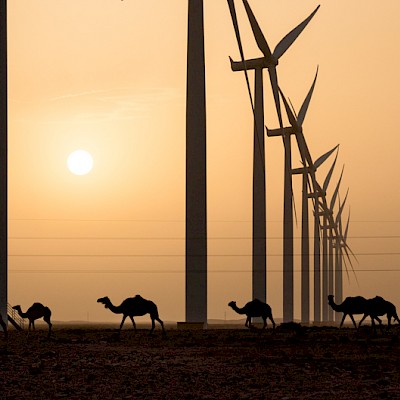 Aftissat Wind Farm, Boujdour, Western Sahara 2020 - Wind Turbine Services