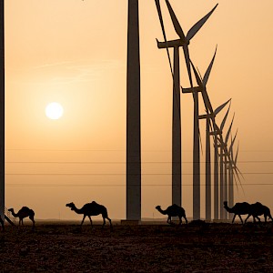 Equinox Restores Wind Turbine Generator in Boujdour, Western Sahara